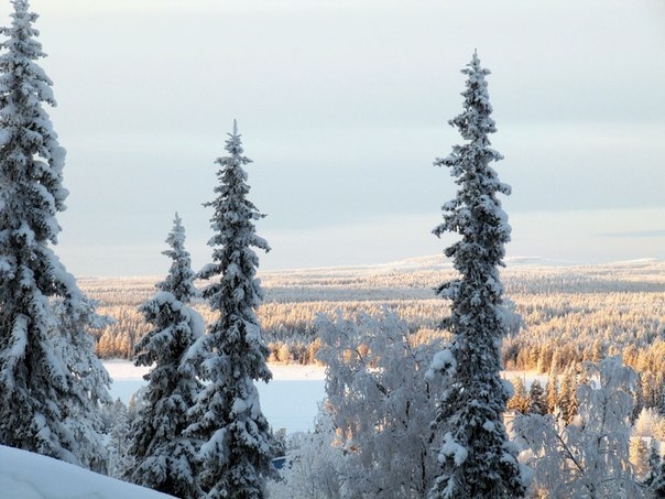 Финляндия Рукка горнолыжка